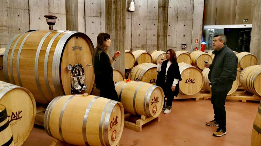Ribera del Duero wine region private tour - Who This Private Day Trip Fits Best