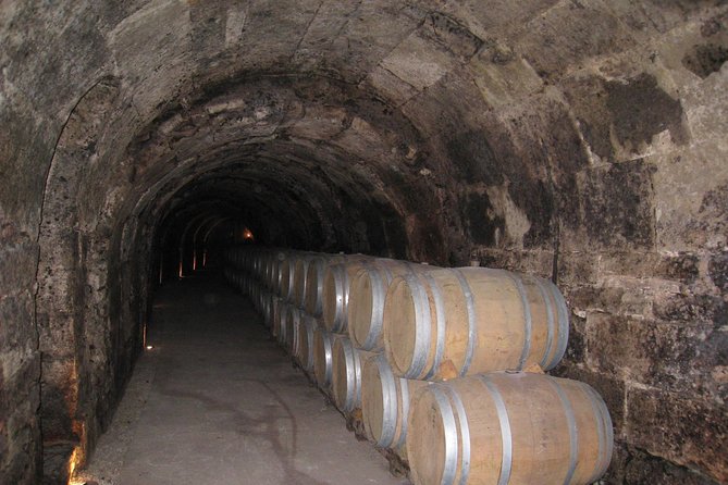 Ribera del Duero Wineries Guided Tour & Wine Tasting from Madrid - Madrid to Ribera del Duero: why this day trip works