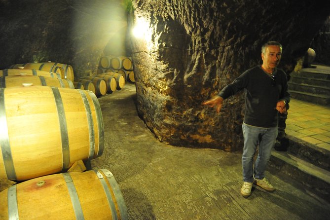 Ribera del Duero Wineries Guided Tour & Wine Tasting from Madrid - Aranda de Duero winery visit: grape to bottle and classic style tasting