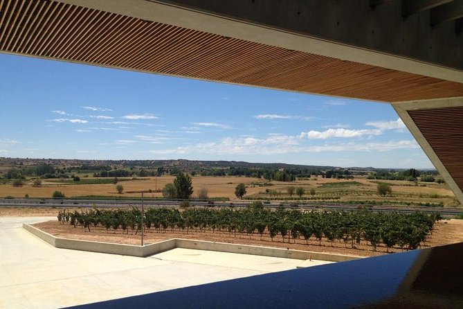 Ribera del Duero Wineries Guided Tour & Wine Tasting from Madrid - Sotillo de la Ribera winery stop: modern architecture meeting the vineyards