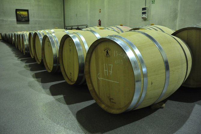 Ribera del Duero Wineries Guided Tour & Wine Tasting from Madrid - The 9:15 pickup, meeting point, and being on time
