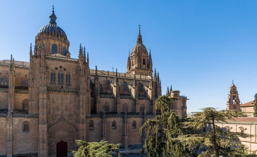 Salamanca: Cathedral of Salamanca Ticket with Audio Guide - Audio guide in six languages, plus a route you can follow