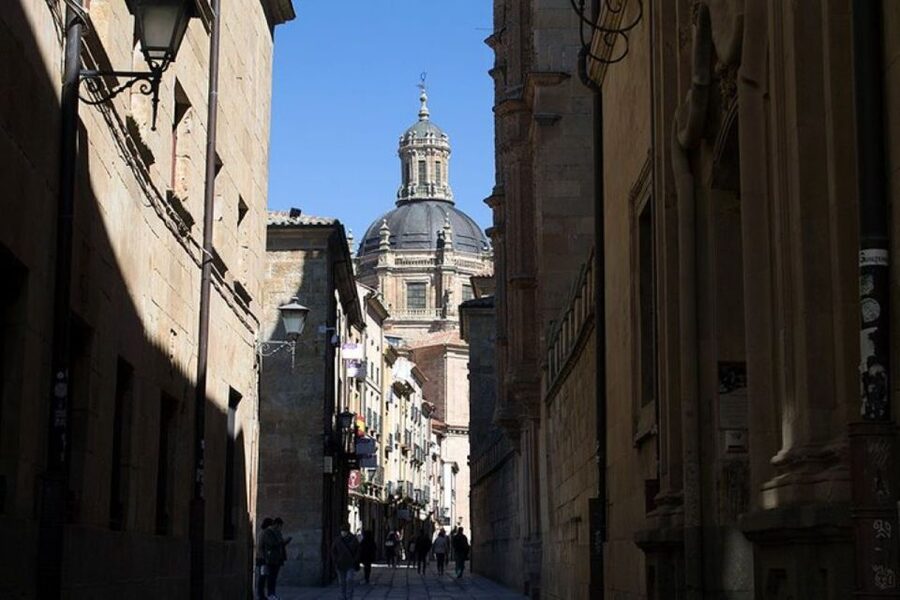 Salamanca: Guided Sightseeing Tour by Bicycle - Roman Bridge over the Tormes River: the view angle you can’t get walking