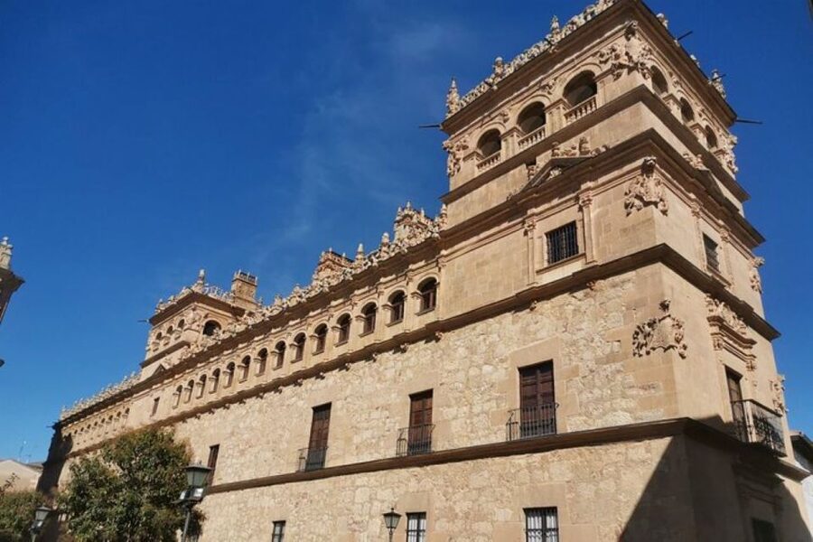 Salamanca: Guided Sightseeing Tour by Bicycle - Bike comfort, riding level, and what to bring