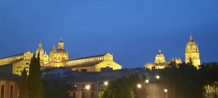 Salamanca: Legends and Stories Private Night Walking Tour - Pickup points that keep your evening from getting messy