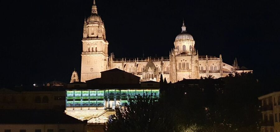 Salamanca: Legends and Stories Private Night Walking Tour - Private night walking style, not mass tourism