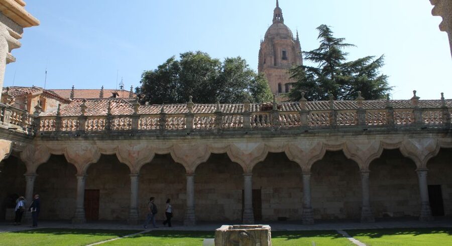 Salamanca: Monuments and Landmarks Guided Walking Tour - Key things to know before you go