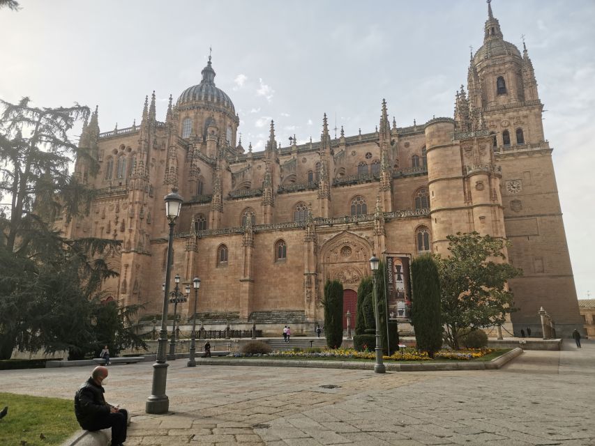 Salamanca: Monuments and Landmarks Guided Walking Tour - Value for $29: what the guide adds that you can’t copy