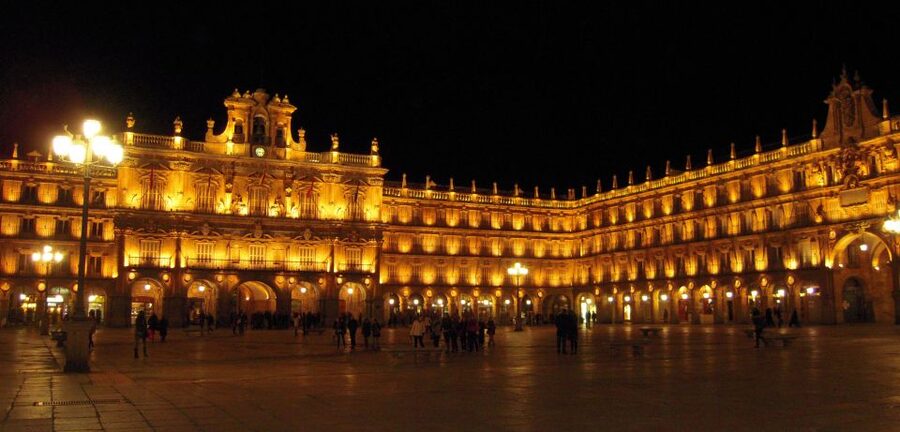 Salamanca: Private Guided Customizable Walking Tour - Key things that make this tour worth your time