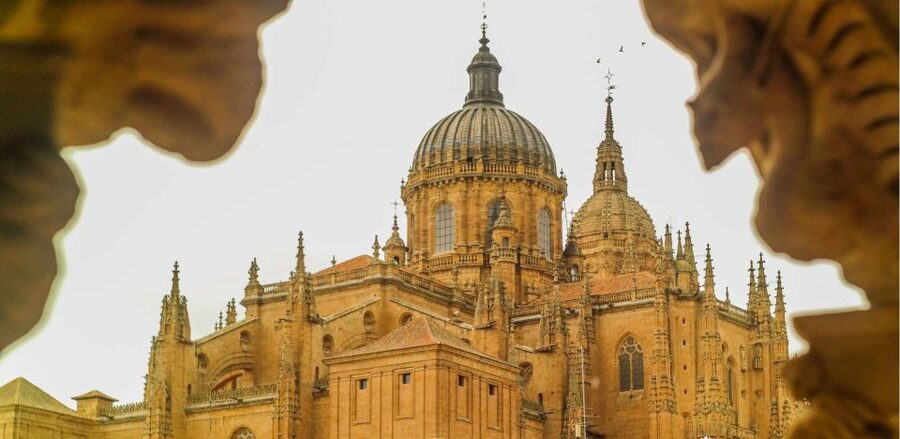 Salamanca: Private Guided Customizable Walking Tour - Should you book this private Salamanca walking tour?