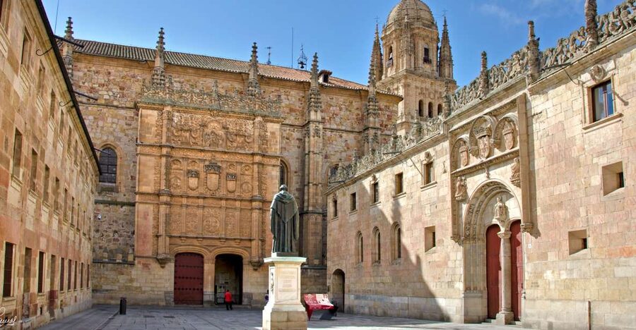 Salamanca: Private Sightseeing & Cultural Walking Tour - Key Highlights You Should Care About