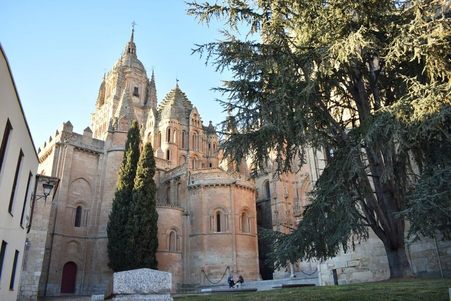 Salamanca: Private Sightseeing & Cultural Walking Tour - A Private 2-Hour Walk That Hits Salamanca’s Best Places Without the Stress