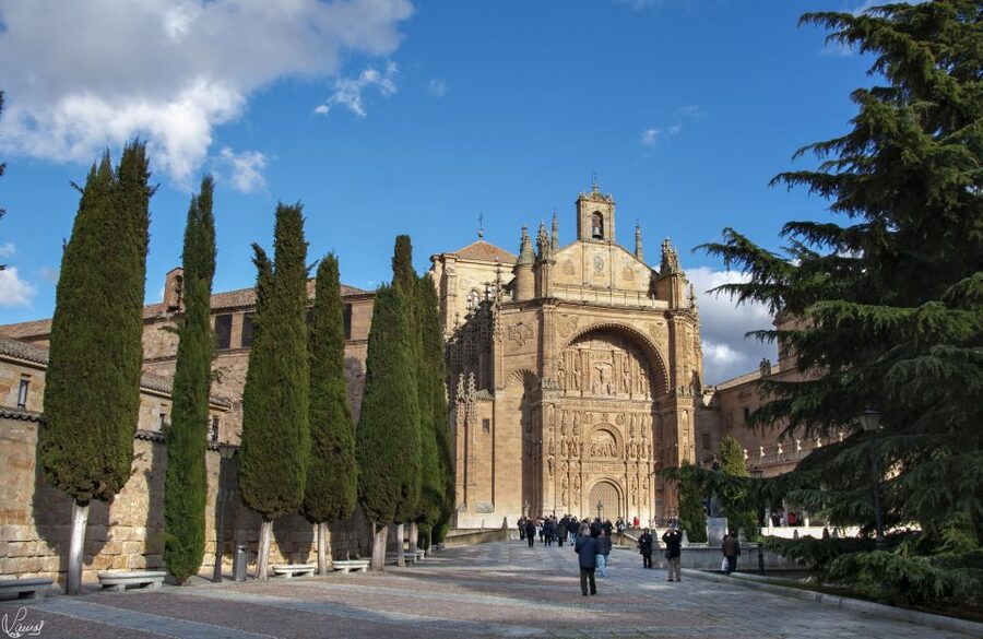 Salamanca: Private Sightseeing & Cultural Walking Tour - Cathedral of Salamanca, The First Real Landmark Moment