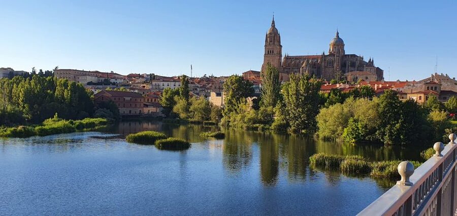 Salamanca: Private Sightseeing & Cultural Walking Tour - Meeting Points and Hotel Pickup, The Part That Saves Real Time