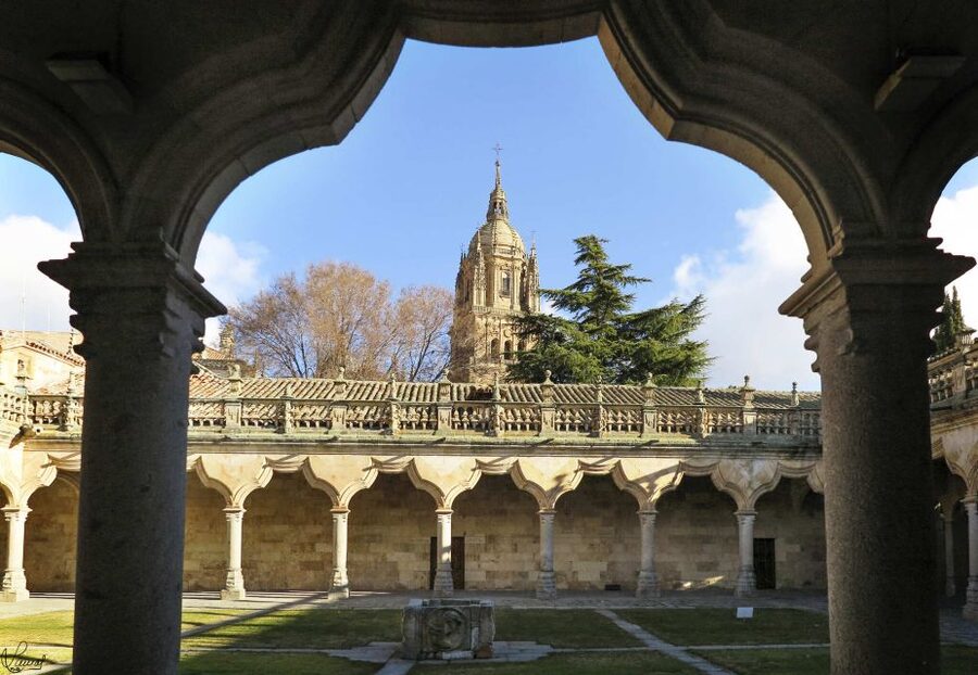 Salamanca: Private tour of the most important sites - Key highlights you’ll actually feel on the ground