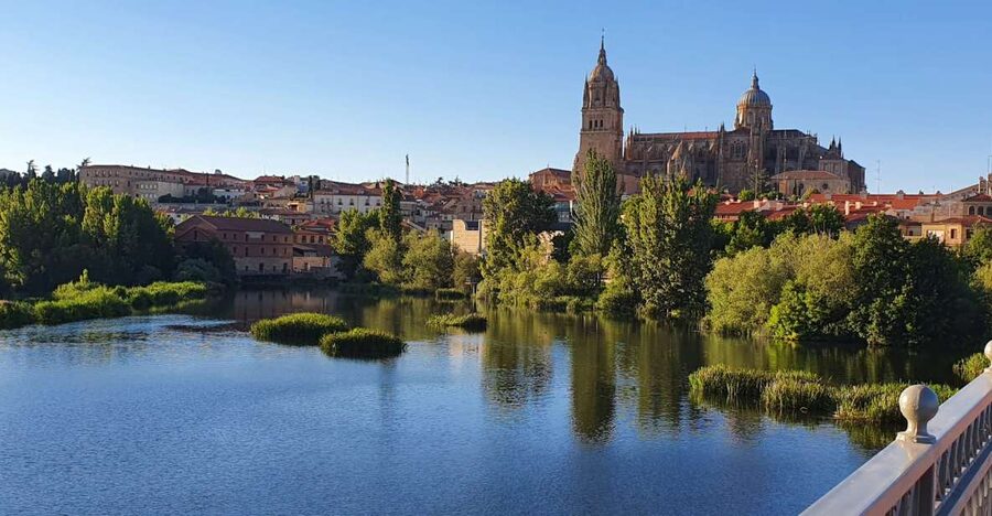 Salamanca: Private tour of the most important sites - Why a 1.5-Hour Private Walking Tour Makes Sense in Salamanca