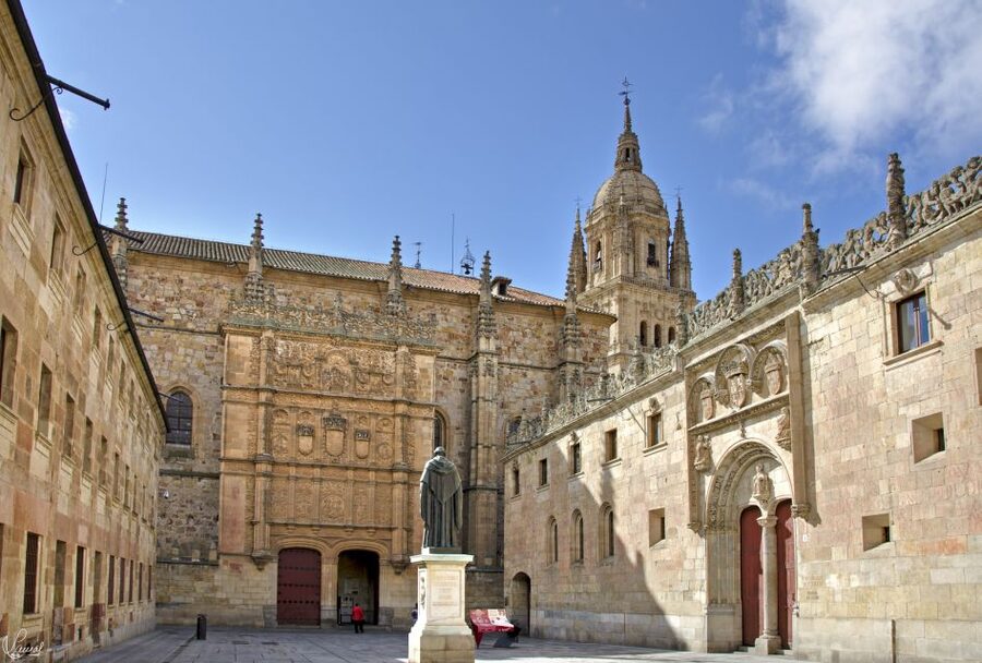 Salamanca: Private tour of the most important sites - Casa de las Conchas, a Library Stop That’s More Fun Than It Sounds