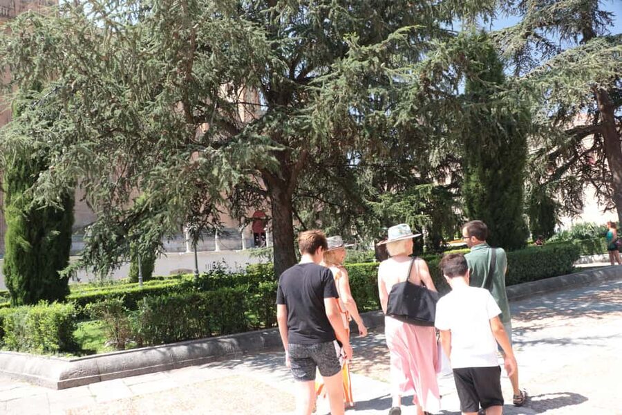 Salamanca: Private Tour with a Local - Meet Your Guide, Then Start With Real Neighborhood Context
