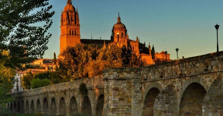 Salamanca: Private Walking Tour with a Local Guide - Key things to know before you go