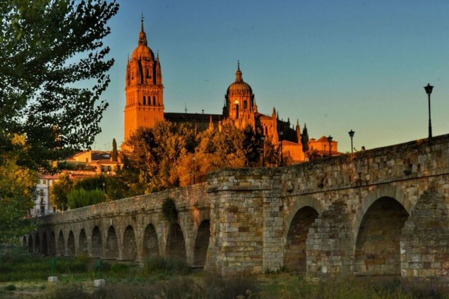 Salamanca: Private Walking Tour with a Local Guide - Salamanca’s core, explained by a local guide you can actually talk to