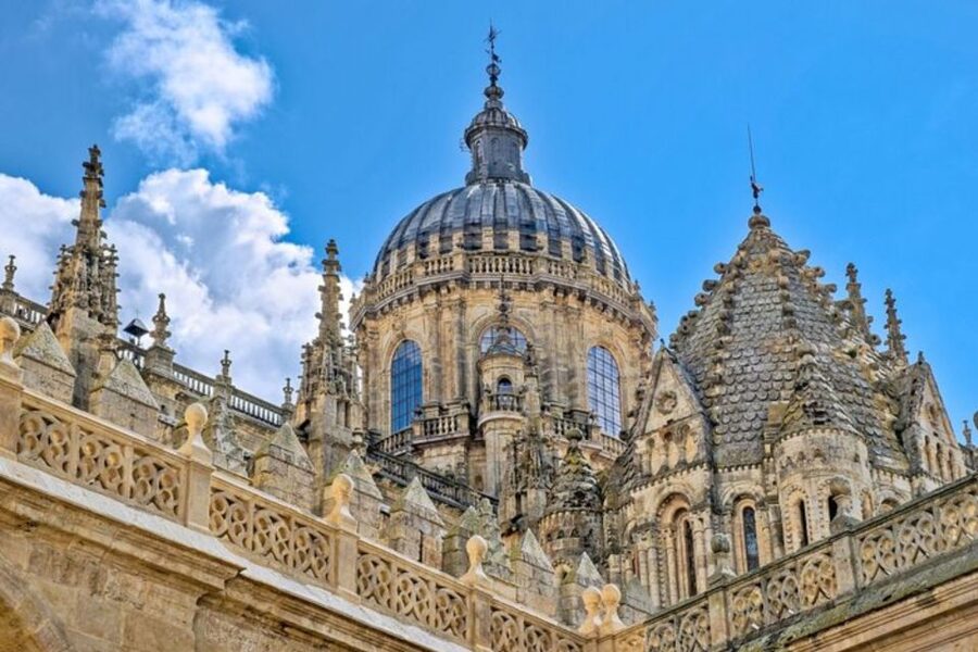 Salamanca: Private Walking Tour with a Local Guide - Meeting at your hotel in Salamanca, then starting with momentum