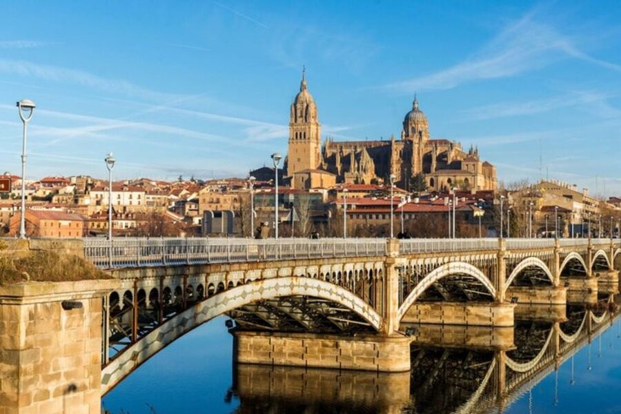 Salamanca: Private Walking Tour with a Local Guide - Public transportation during a walking tour, the smart middle ground