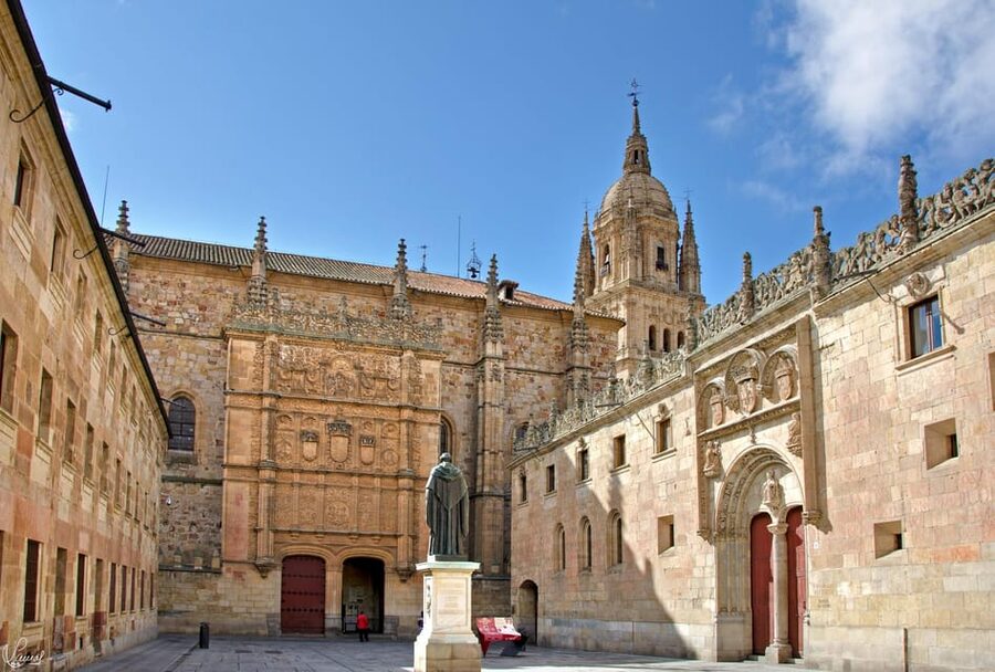 Salamanca: University and Colleges Walking Tour (Private) - Key things you’ll notice on this Salamanca University tour