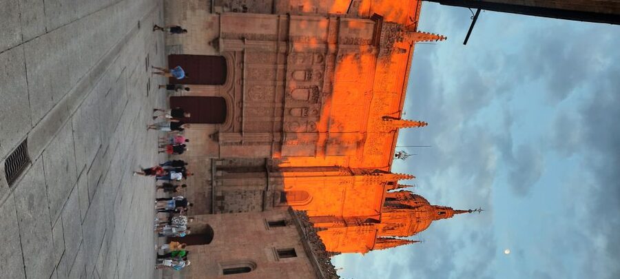 Salamanca: University and Colleges Walking Tour (Private) - Getting picked up in Salamanca without the hassle