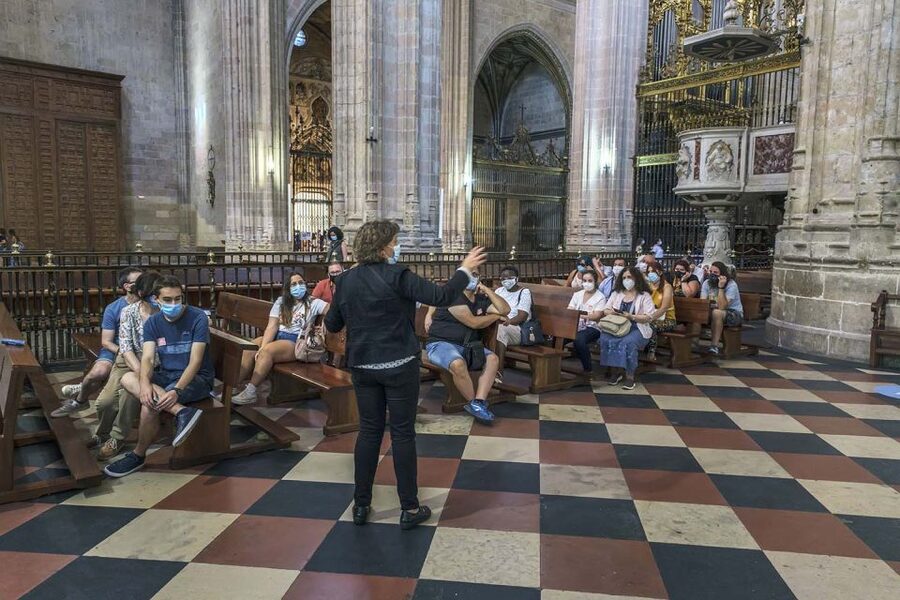 Segovia Cathedral Guided Tour - Who this Segovia Cathedral tour suits best