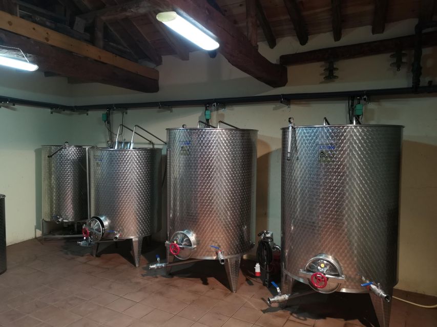 Segovia: Winery Tour with Wine Tasting - Key highlights before you go
