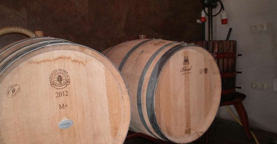 Segovia: Winery Tour with Wine Tasting - A small-winery wine tour worth 90 minutes from Segovia