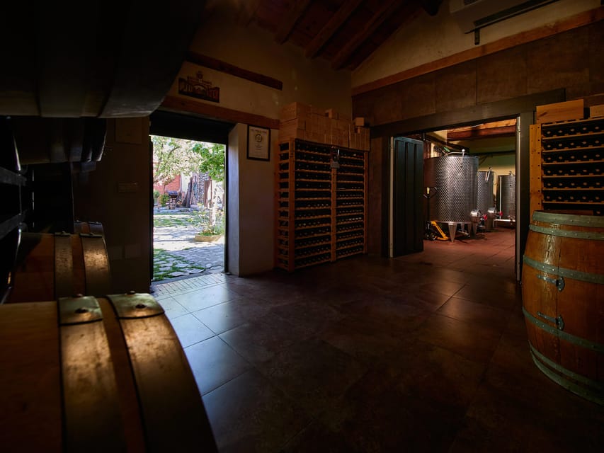 Segovia: Winery Tour with Wine Tasting - English or Spanish, with a real guide who explains