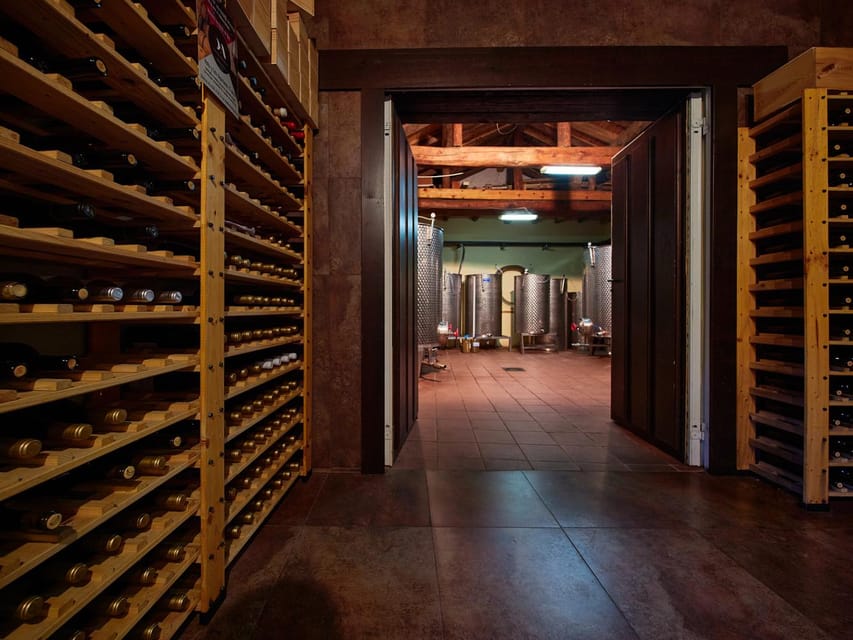 Segovia: Winery Tour with Wine Tasting - Who this tour is best for