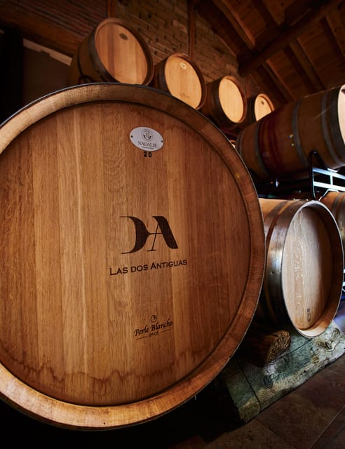 Segovia: Winery Tour with Wine Tasting - Where you meet and how to actually get to Navas de Oro