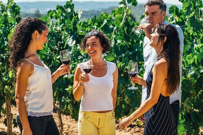 Toledo Tour & Vineyard Walk with Wine Tasting from Madrid - From We Madrid Store to the Imperial City: how the day starts