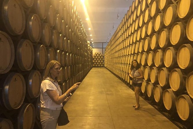 Windmills of Don Quixote Wine Tour & Tasting from Madrid - Small group size and guided pacing: what changes with a cap of eight